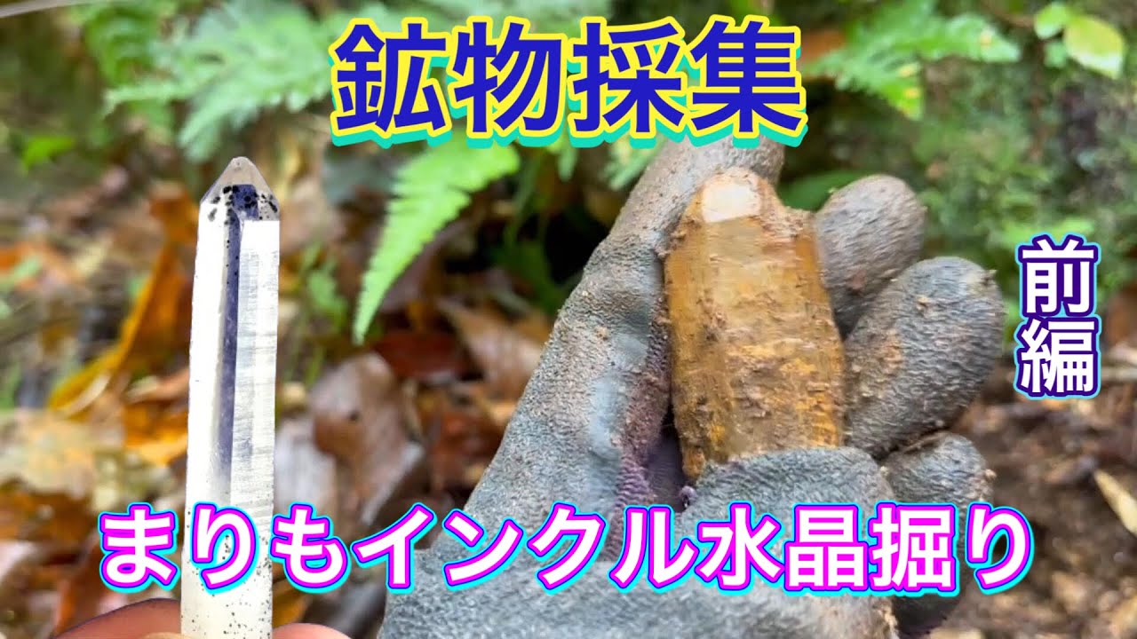 近畿某所で、まりもインクル水晶掘り　前編【鉱物採集】