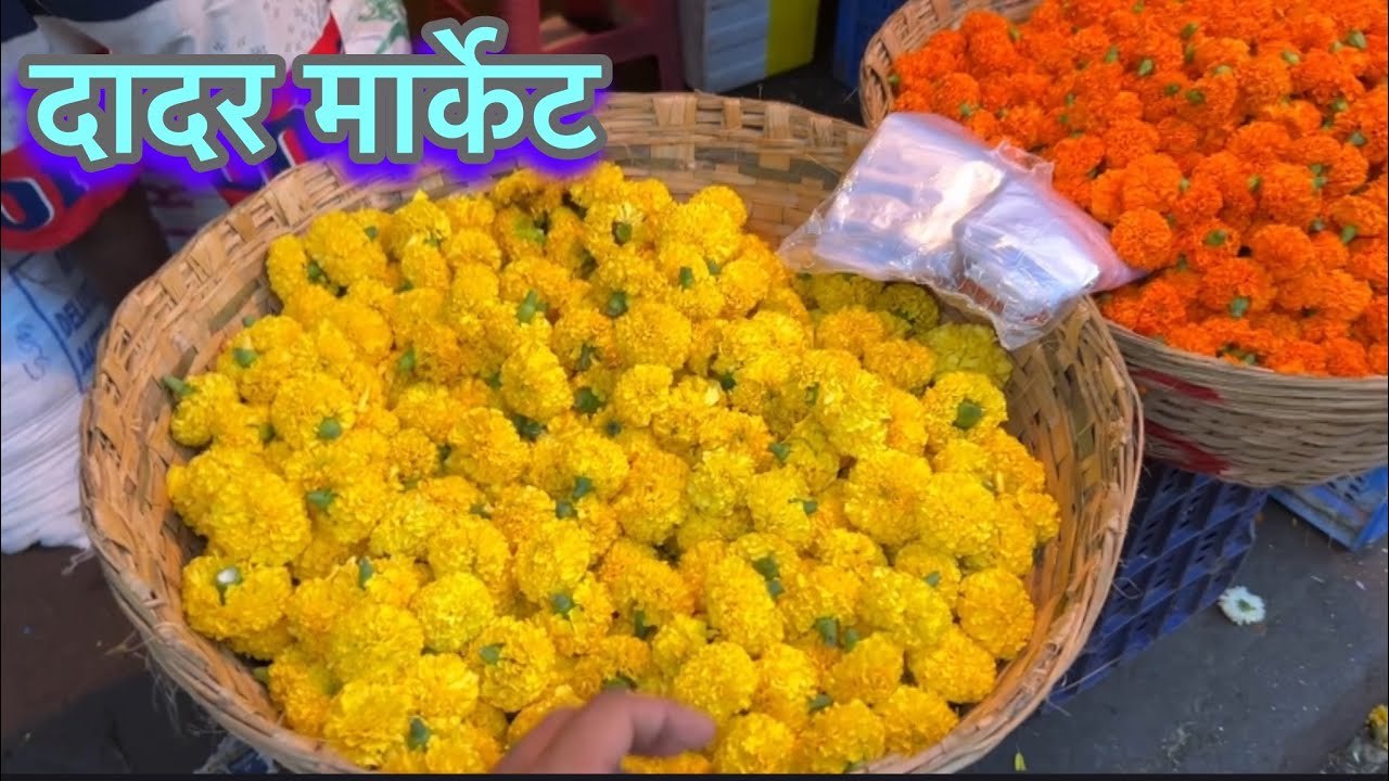 दादर वेस्ट - नवरात्र विशेष फुलाचा बाजार भाव दिनांक 25/9/2025 | Dadar Kapda Market & Fool Bazar 