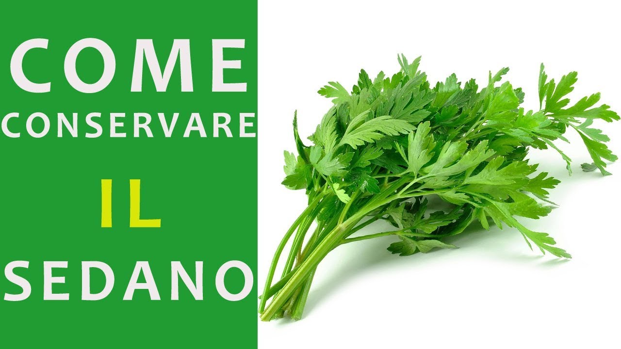 COME PULIRE E CONSERVARE IL SEDANO IN FRIGORIFERO ED IN CONGELATORE | FoodVlogger