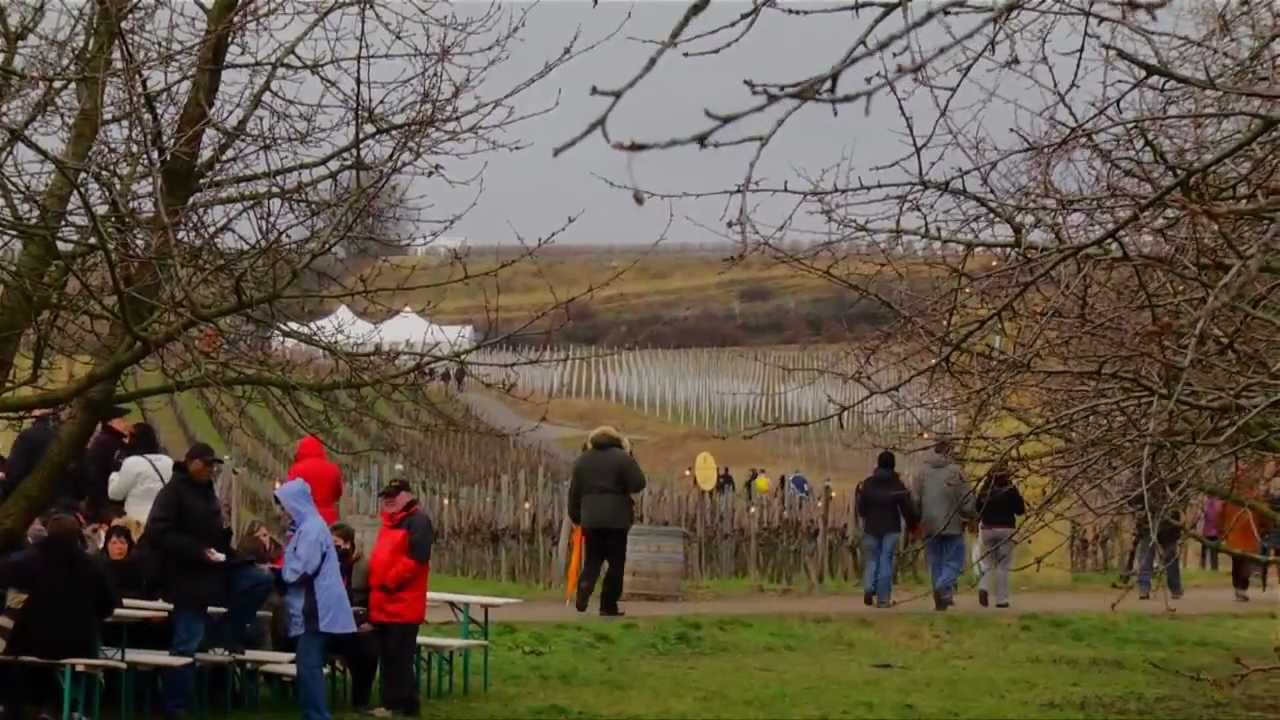 Rotweinwanderung in Freinsheim ( HD )
