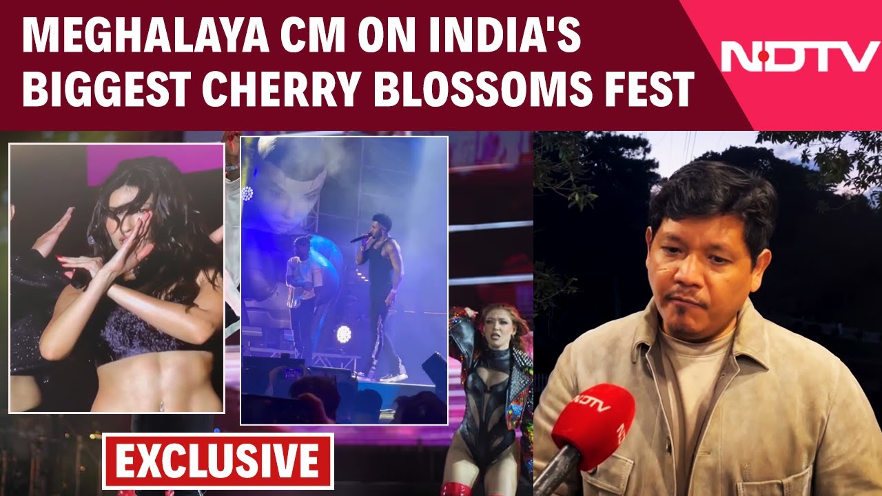 Conrad Sangma Interview | Sangma Cherry Blossoms Paint Shillong Pink,Festival Draws Global Visitors