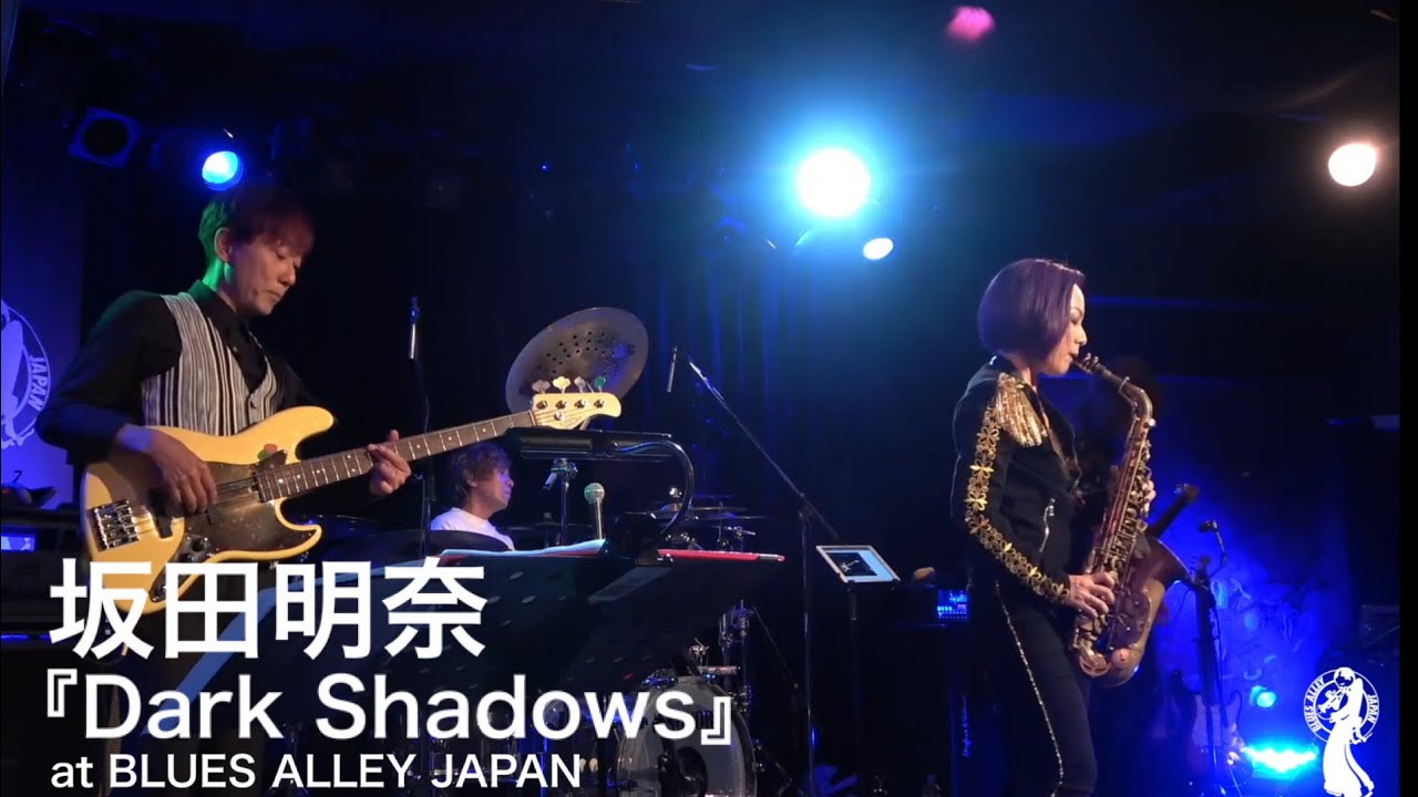 坂田明奈 『Dark Shadows』