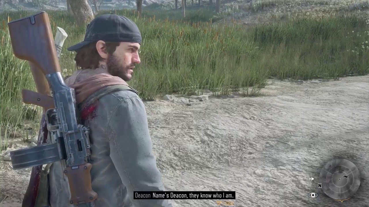 Days Gone