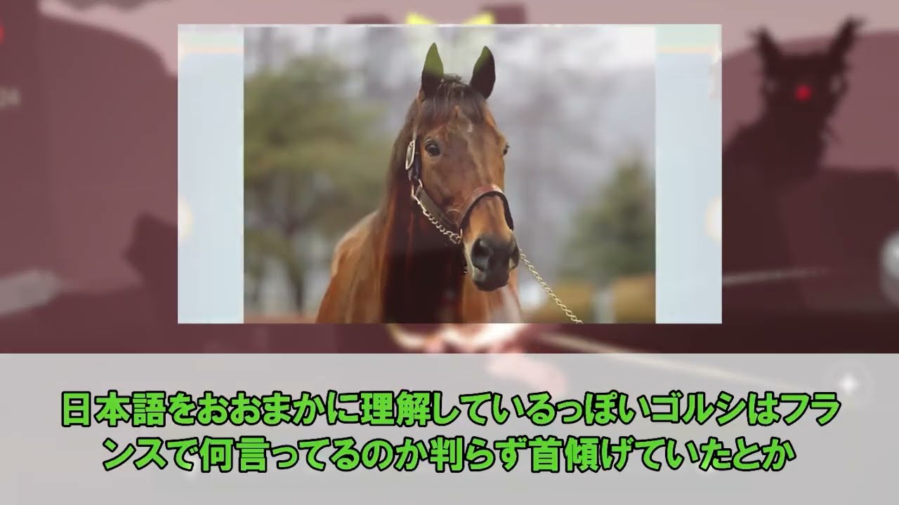 「今年は即日満口馬いないのか？」に対するみんなの反応集