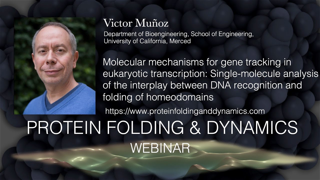 Victor Munoz, 18.10.21- Molecular mechanisms for gene tracking in eukaryotic transcription