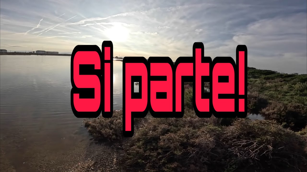 cap.1 In  viaggio verso la sardegna: due cani in camper e tanta avventura!