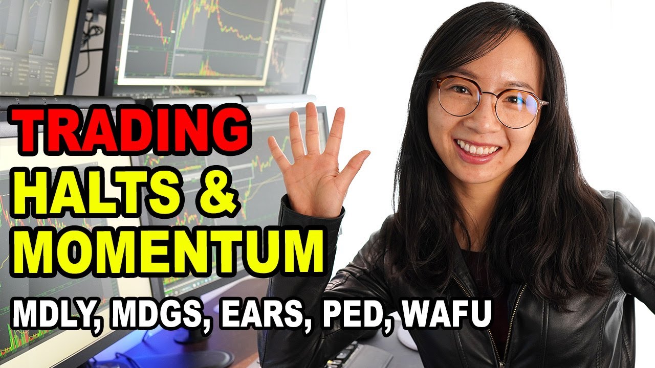 Trading Momentum Stocks, Trading Halts, Short Squeezes MDLY, MDGS, EARS, PED Trading Recap
