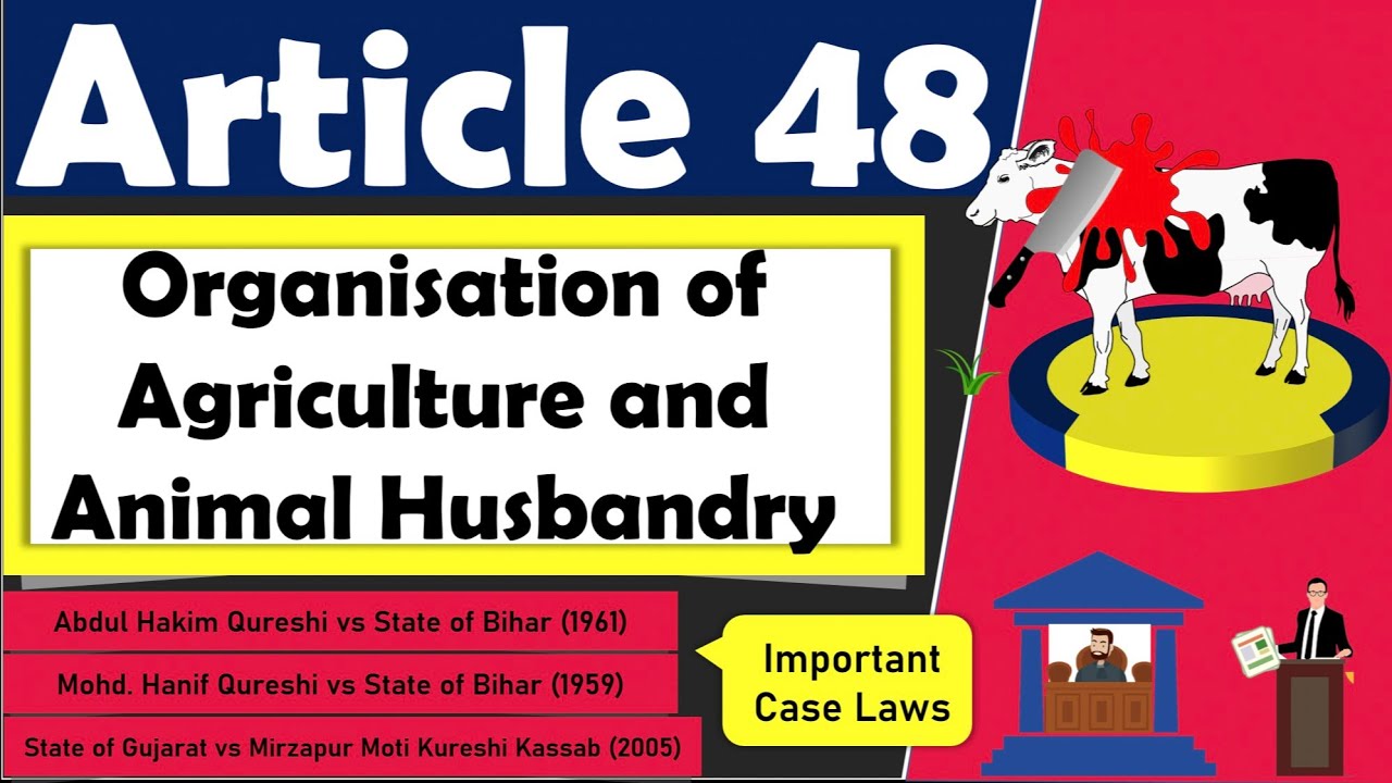 Article 48|Organisation of Agriculture & Animal Husbandry|Slaughter of Cows|Important case laws|DPSP