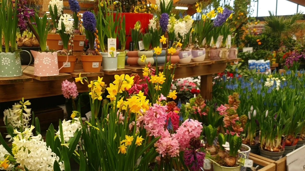 Première balade en jardinerie de l'année 2026 - Jardiland Montluçon ❤️