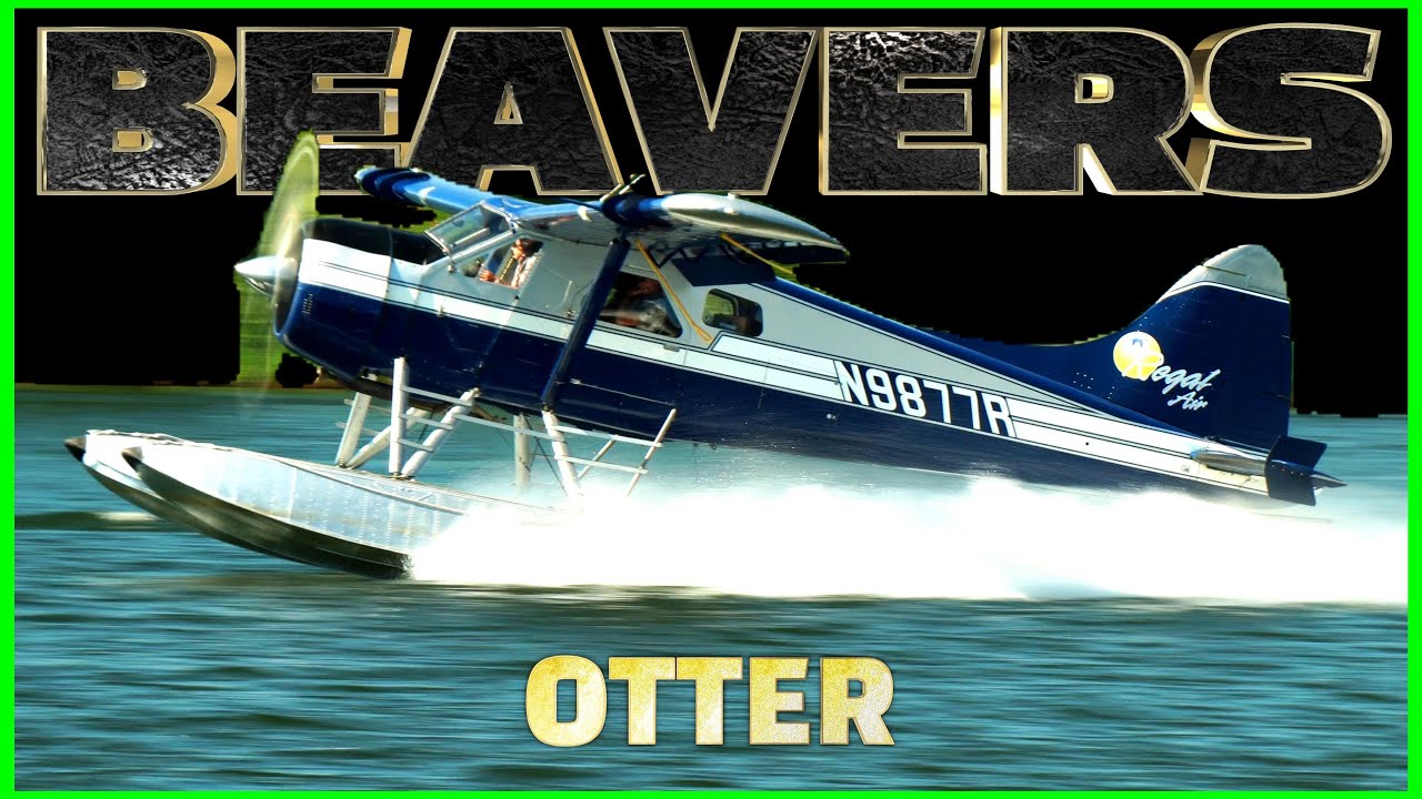 ( Beavers and Otter ) Alaska Seaplanes 2024