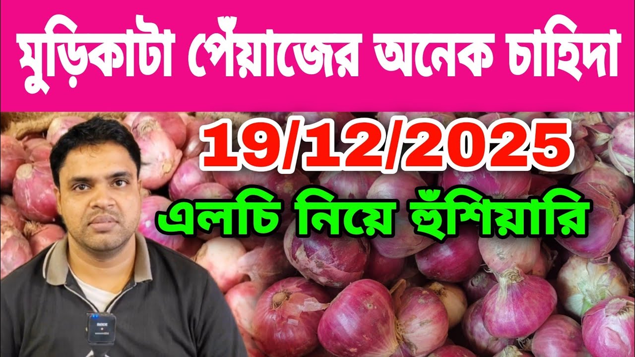 19/12/2025 মুডিকাটা পেঁয়াজের অনেক চাহিদা পেঁয়াজের দাম আজকের খবর | আজকের পেঁয়াজের বাজার দর 