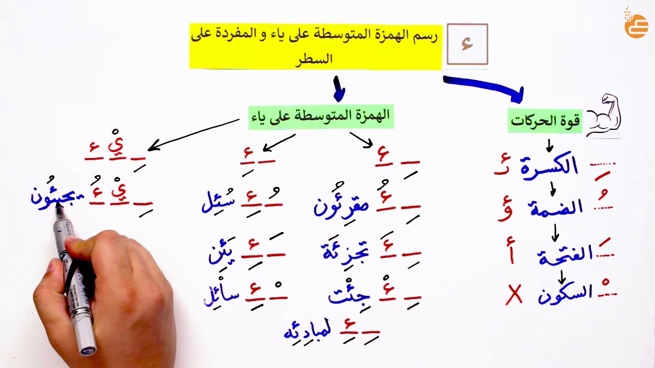 مراجعات عين - رسم الهمزة المتوسطة على ياء والمفردة على السطر