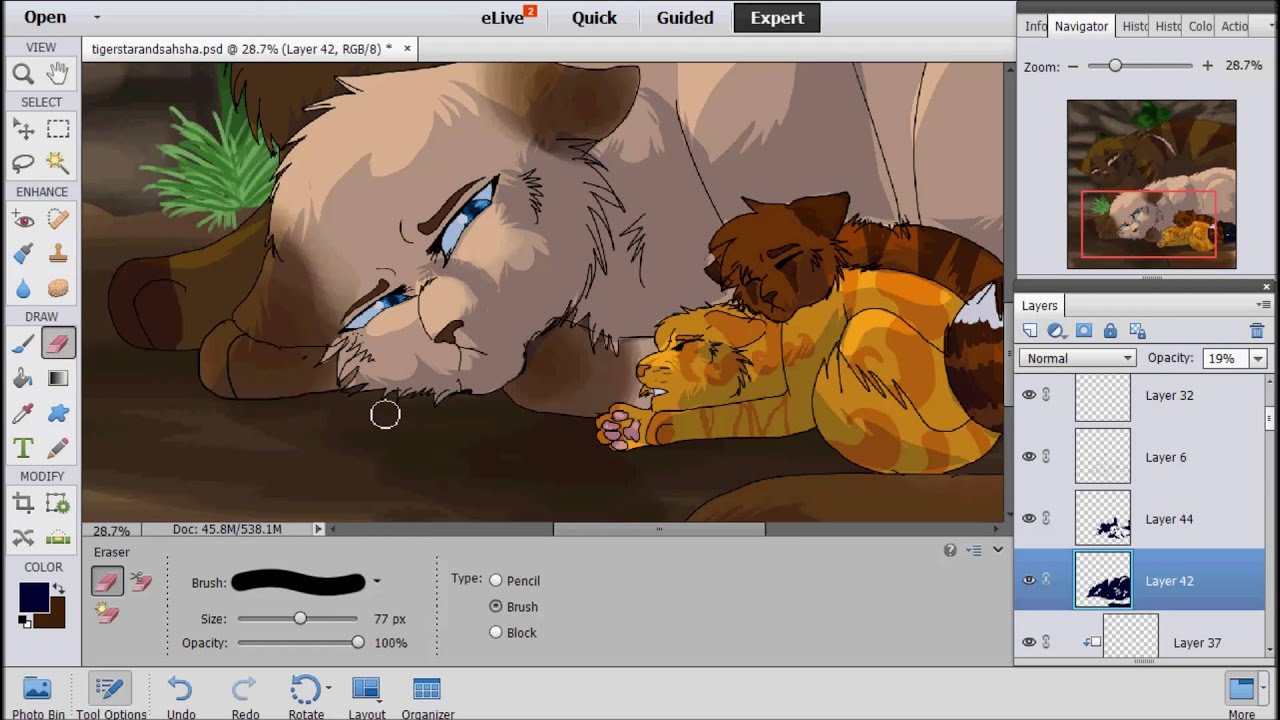 Tigerstar and Sasha (Warrior Cat's Speedpaint)
