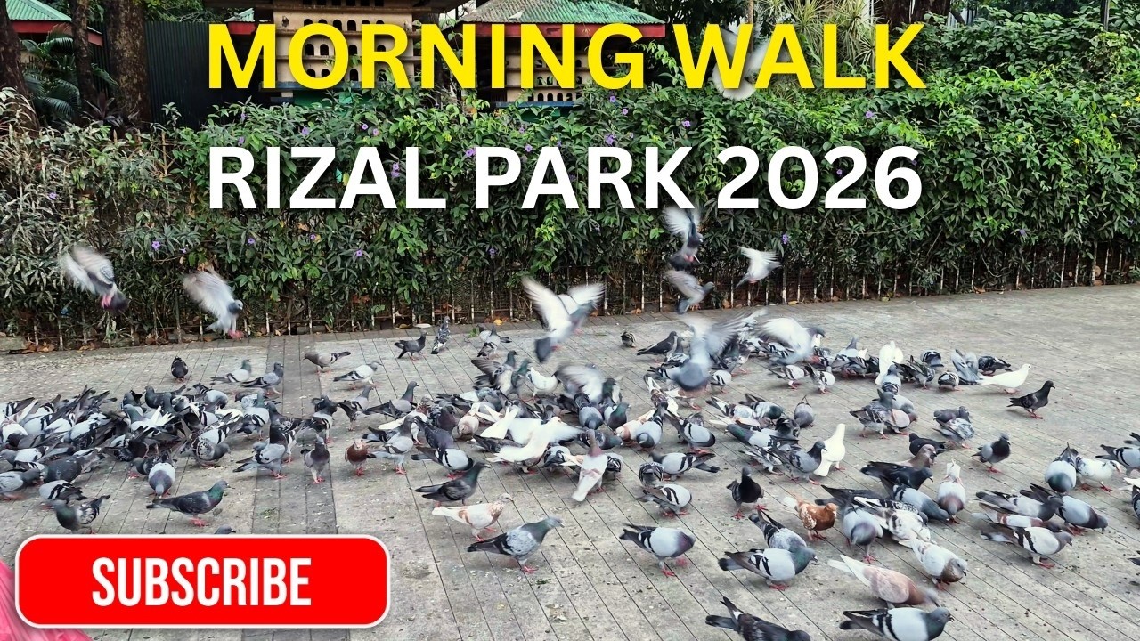 A Calm Morning Bird Feeding at Rizal Park  Today’s Scenes 2026