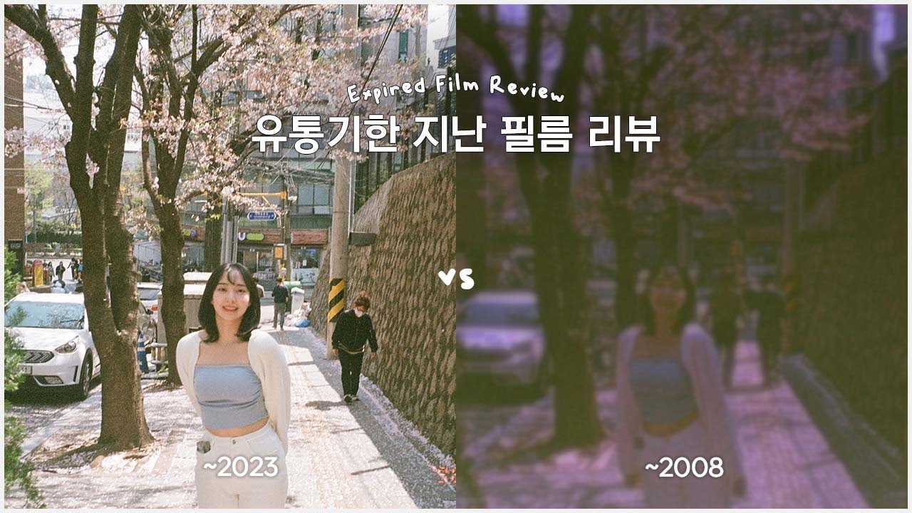유통기한 지난 필름은 어떻게 나올까?🤔 빈티지 필름 리뷰 | 코니카 미놀타 400 vs. 후지 수퍼리아 엑스트라 400 | 캐논 오토보이, 삼성 케녹스