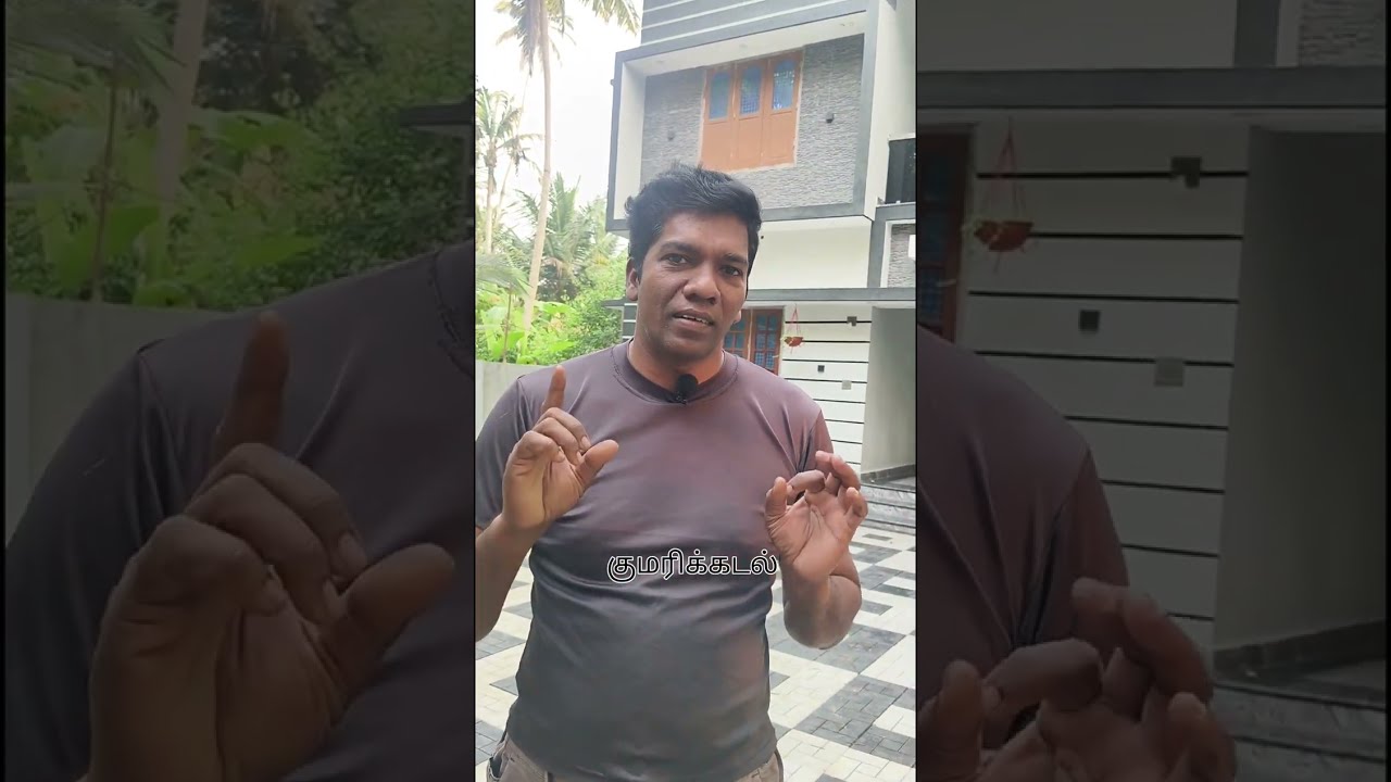நெட்டை ரக தென்னை #kumarikkadal  Vino Kumari Nagar #kanyakumari #marthandam 