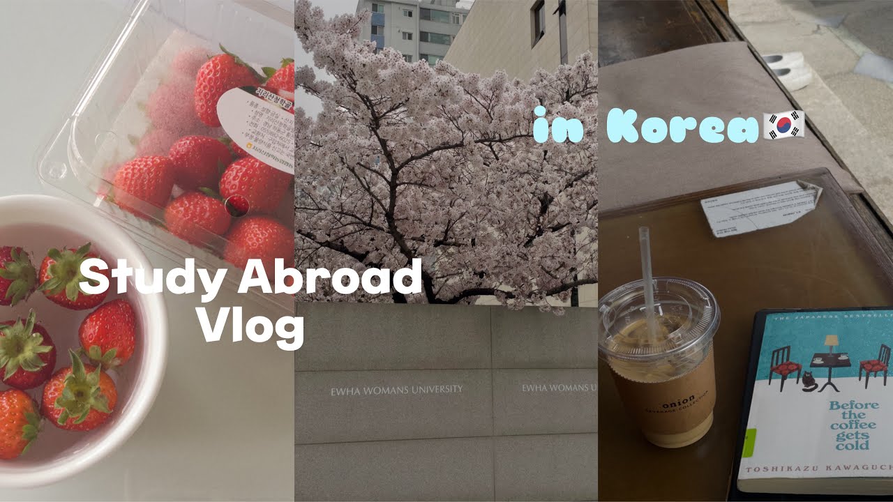 ENG)韓国留学👩🏻‍🎓🇰🇷|就活と風邪引いた話🤧