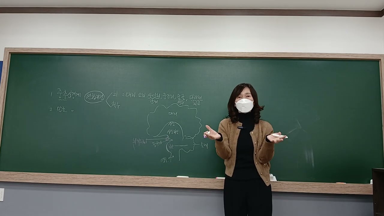 4-2 신경계 (26.1.10 고2)