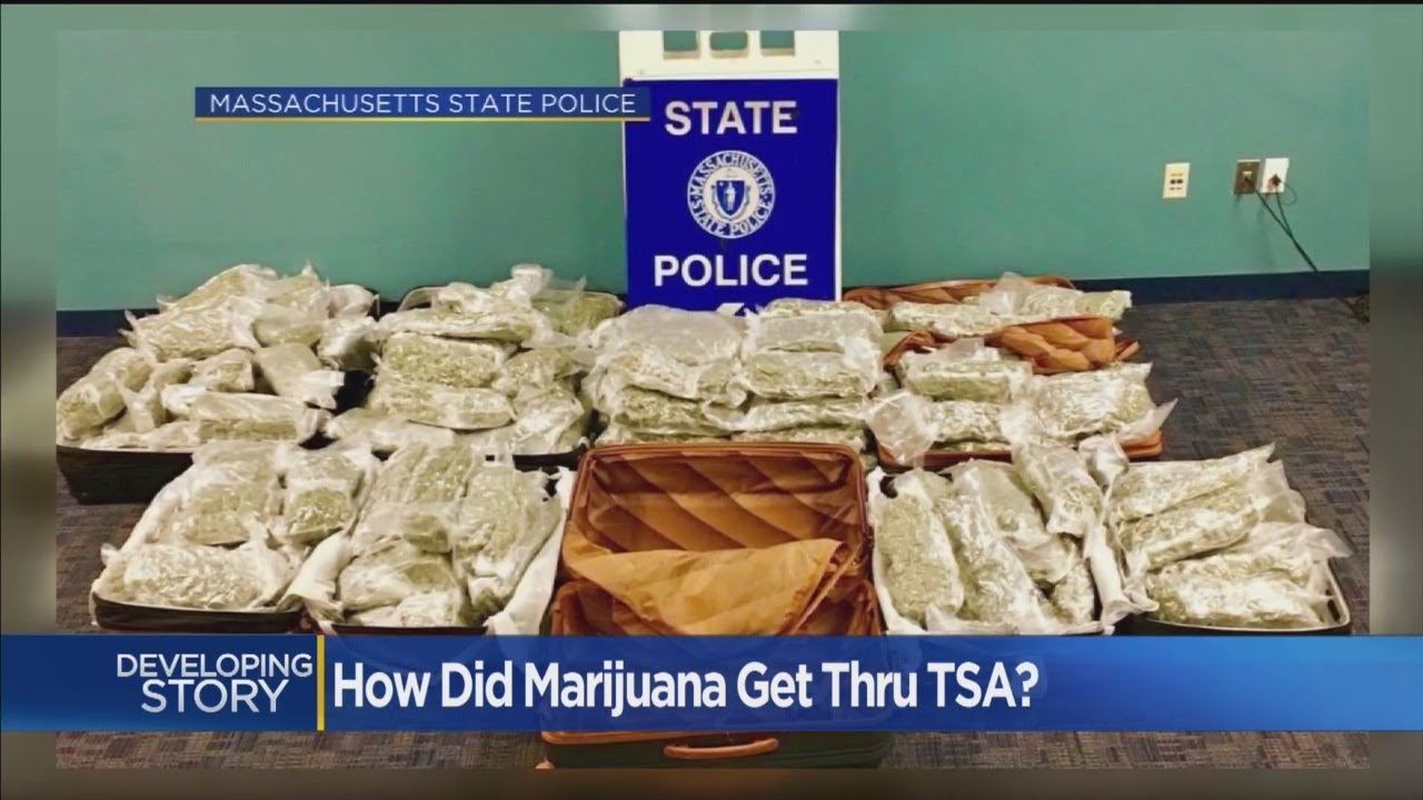 How Did Pounds Of Marijuana Get Through The TSA?