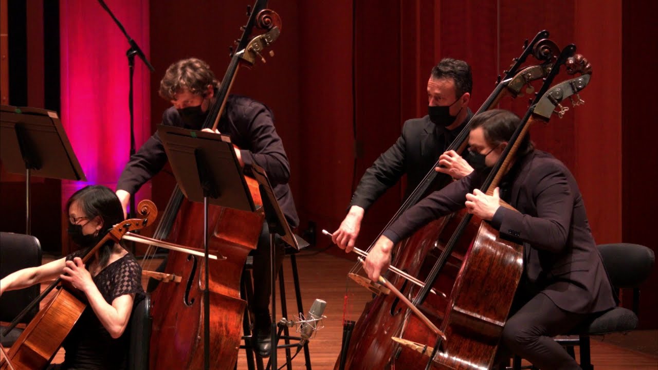 Schubert: Symphony No. 5 / Nicholas McGegan & Seattle Symphony