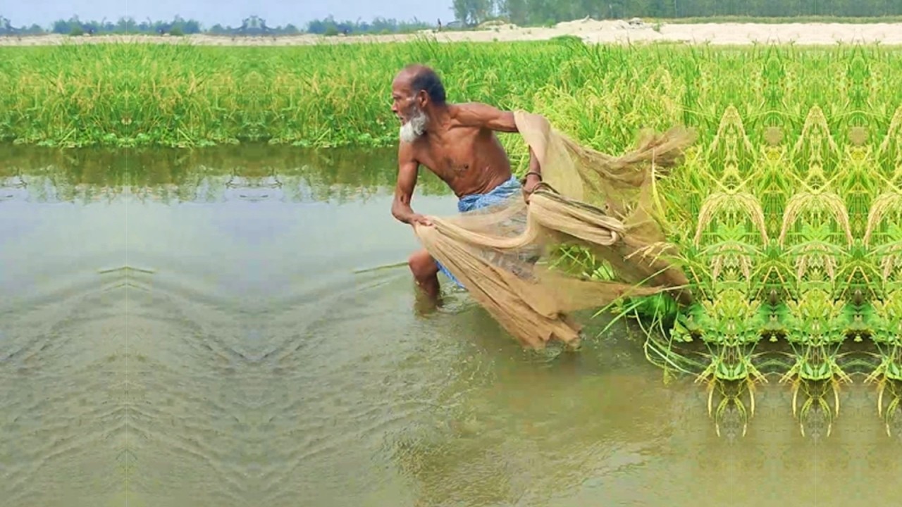 Fishing by Professional Poor Fisherman - Amazing Fish Hunting - Village Fishing Video