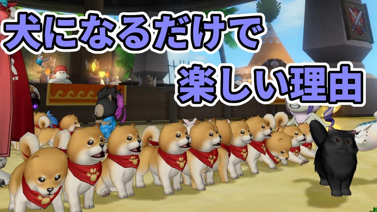ドラクエ10 犬になるだけのイベントが大盛況！こういうので良いんだよ
