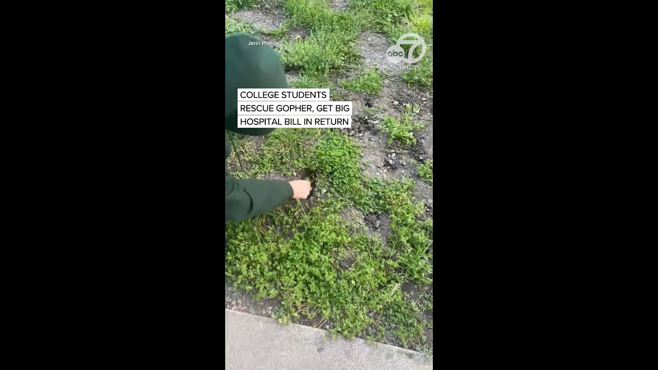 College students rescue gopher, get big hospital bill in return