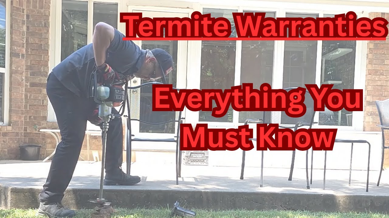 Termite Warranty Explanation - Everything You Need to Know