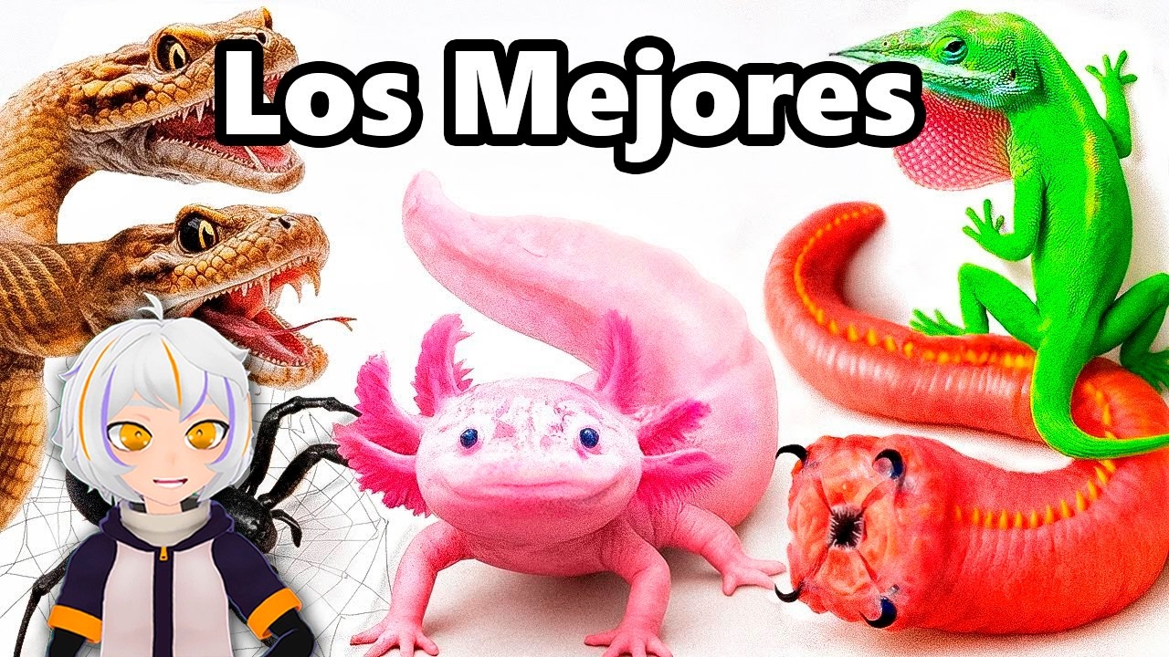 Mis Mejores Mascotas de 2026 (hasta ahora) | ChuyMine REACCIONA a TerraVerde Espa&ntilde;ol