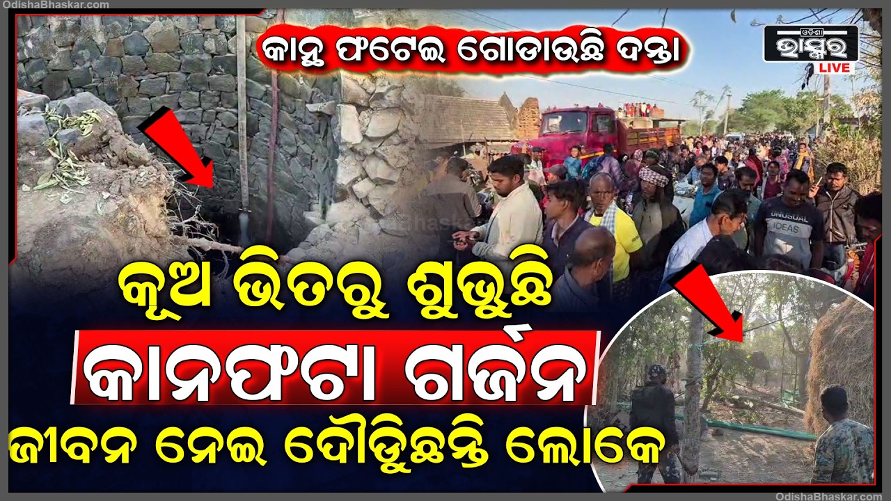 କୂଅ ଭିତରୁ ହାତୀର ଶୁଭୁଛି କାନଫଟା ଗର୍ଜନ..ଫୋରେଷ୍ଟ ବିଭାଗର ଗାର୍ଡ ଆସି ହାତୀକୁ କୂଅ ଭିତରୁ କରିଲେ ଉଦ୍ଧାର....