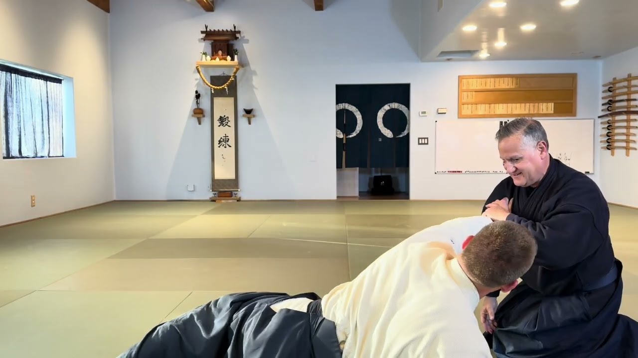 Aikido: Nikyo