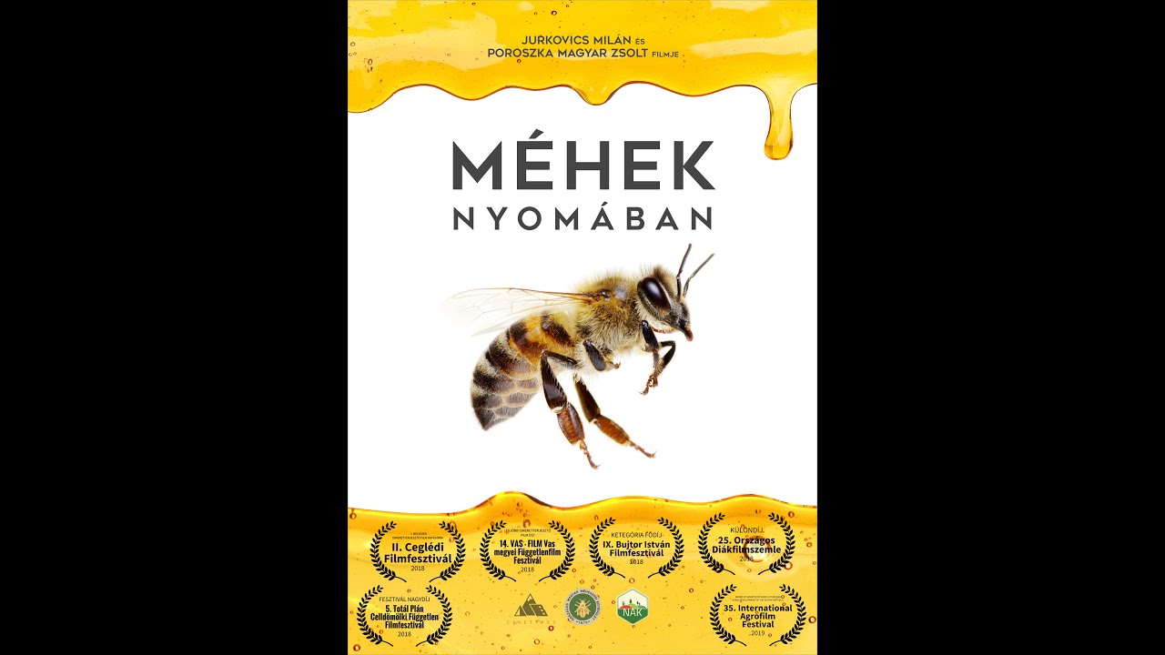 MÉHEK NYOMÁBAN | Magyar természetfilm
