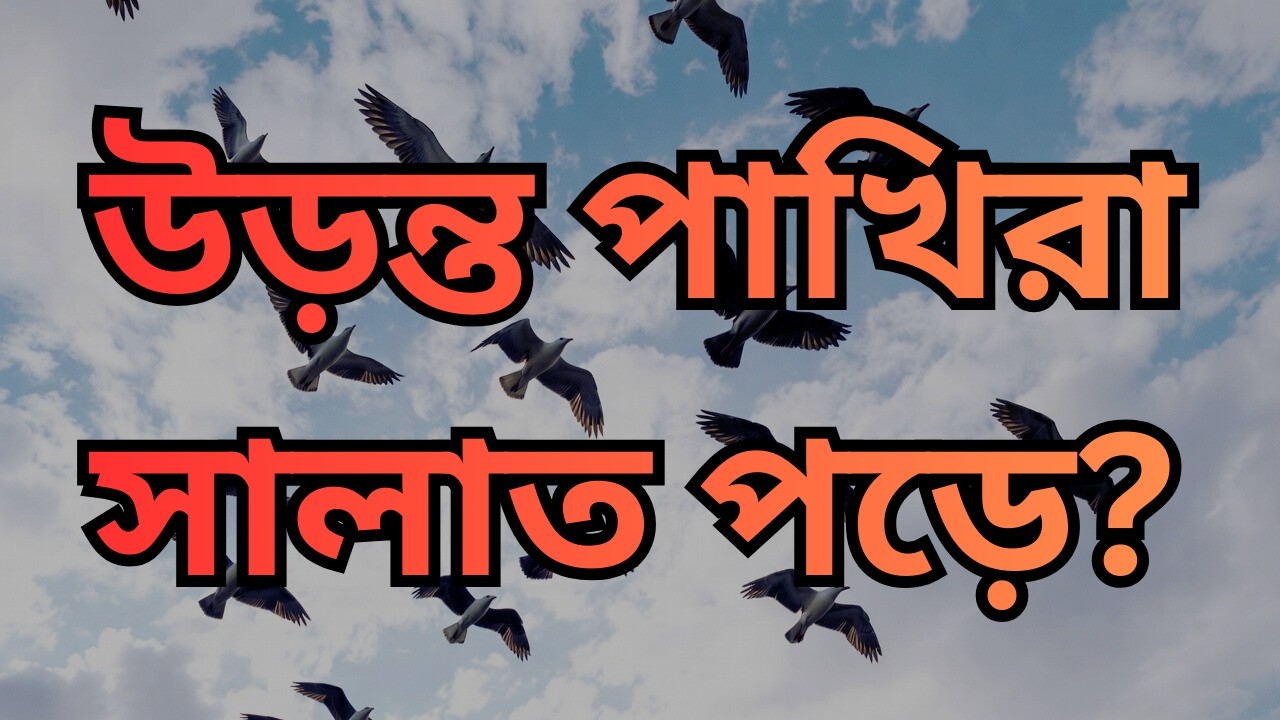 প্রশ্ন ও উত্তর পর্ব সিরিজ | – পর্ব ১
