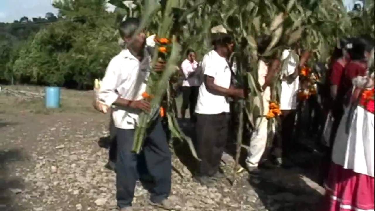 Tepoxteco Chicontepec-Elotlamanaliztli- 'La fiesta de elotes'