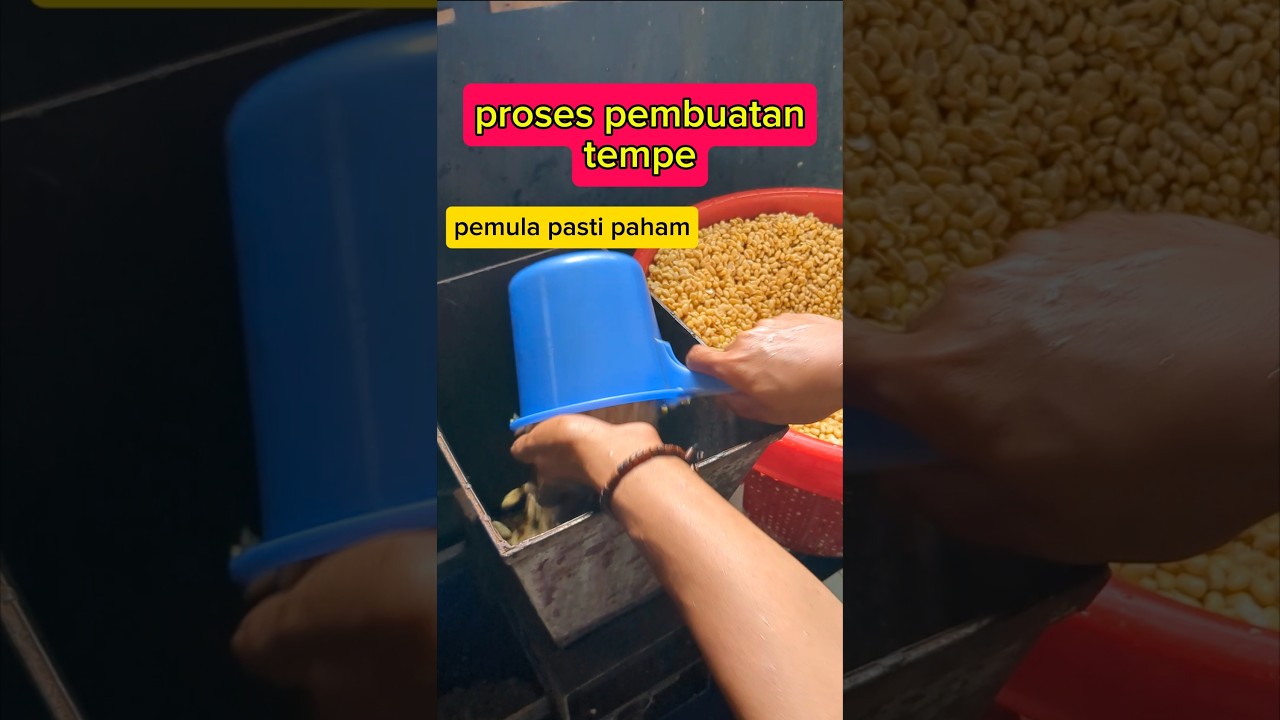 proses pembuatan tempe full part || pemula pasti cepat paham