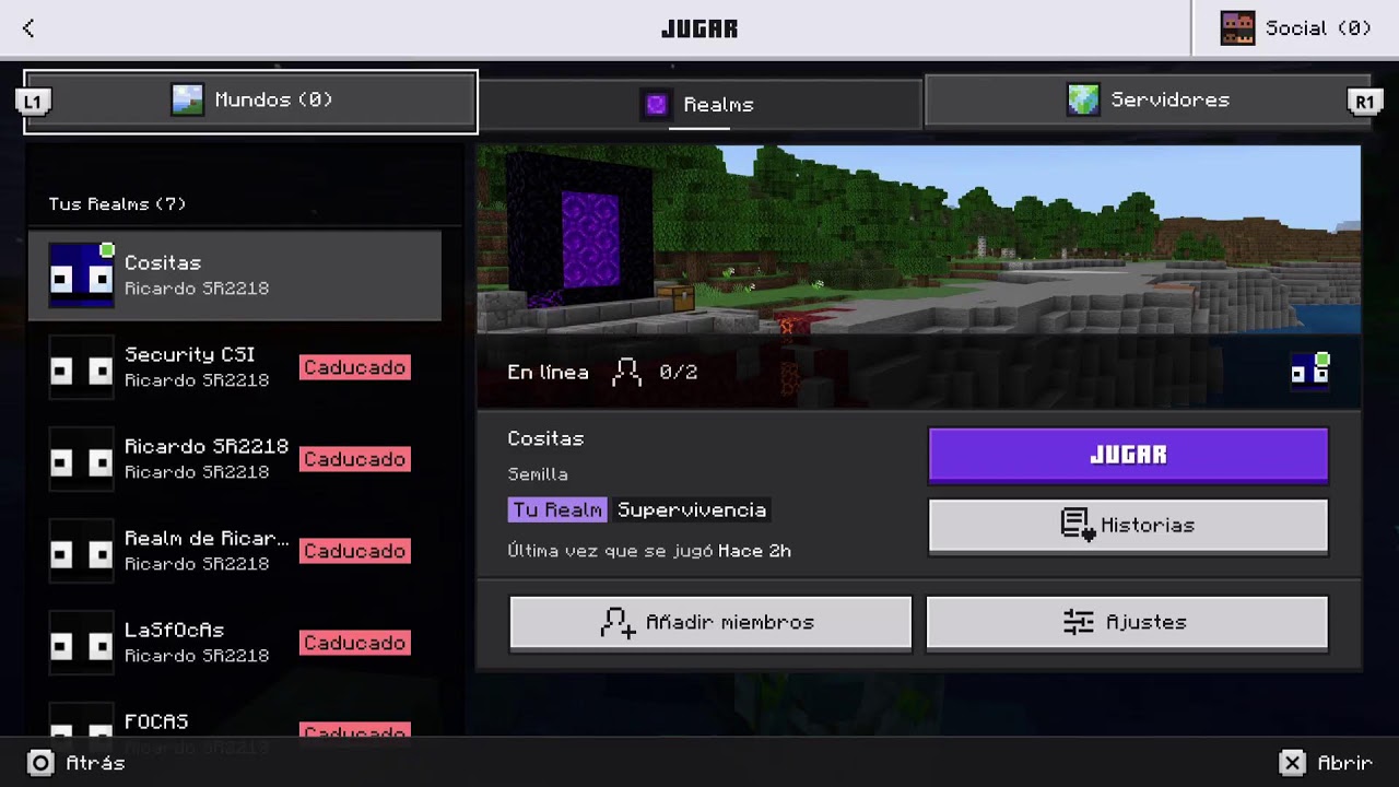 Minecraft Survivor