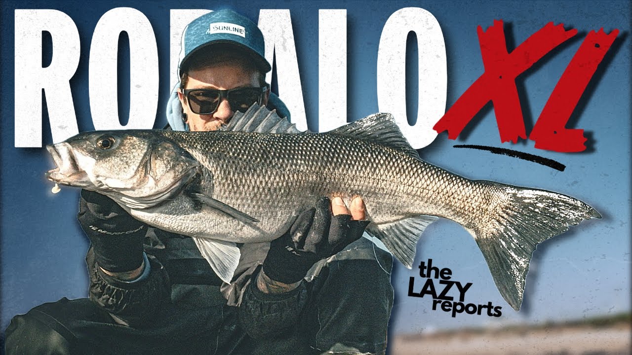 Foram crescendo até que... 🎯 ROBALO XL ao LIGHT SPINNING | THE LAZY REPORTS 004