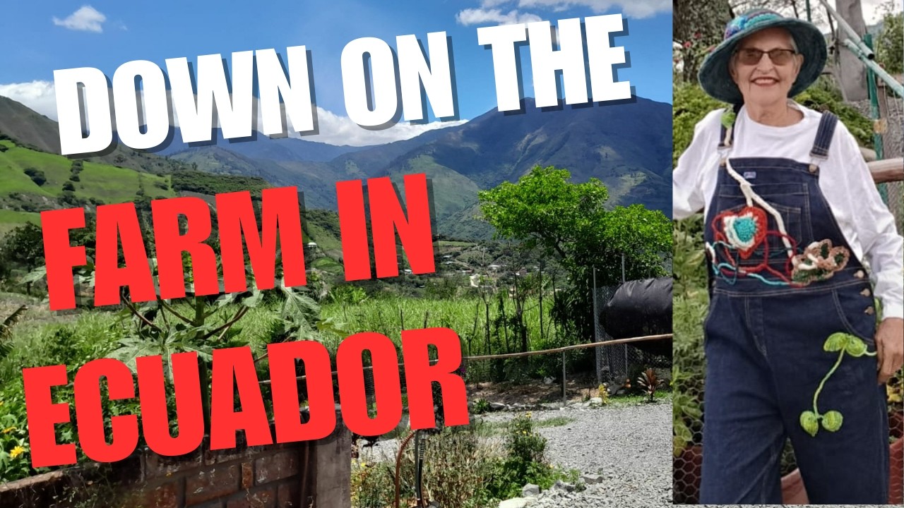 Sustainability: DOWN ON THE FARM photo video. Opps..... lost the end.