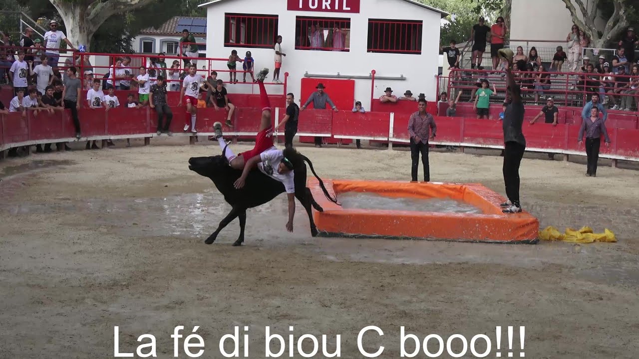 Mudaison ▶taureau piscine manade l'Aurore◀ 26.06.2024 (MDR🤣🤣🤣).