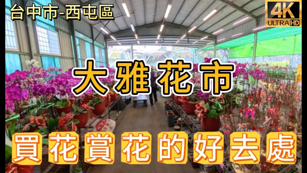 逛一圈大雅花市，體驗在地花市的真實日常!#大雅花市#台中花市#西屯景點#台中西屯#台中逛街#在地花市#花卉盆栽#台中日常#慢活行程#台中拍片#Vlog取景#生活感景點