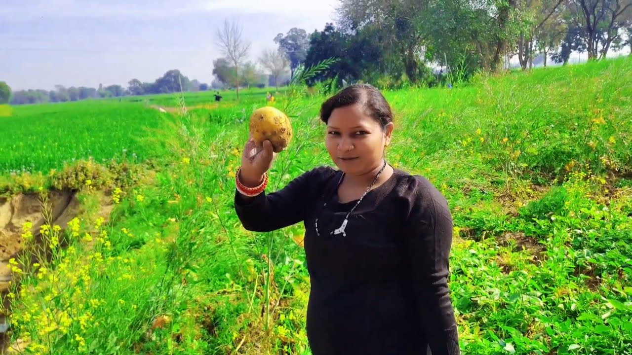 Gaon Mein Meri Pehli Aloo Ki Khudai 🌾| Gaon Ki Mitti Se Aloo Nikalna | Simply Seema Vlogs