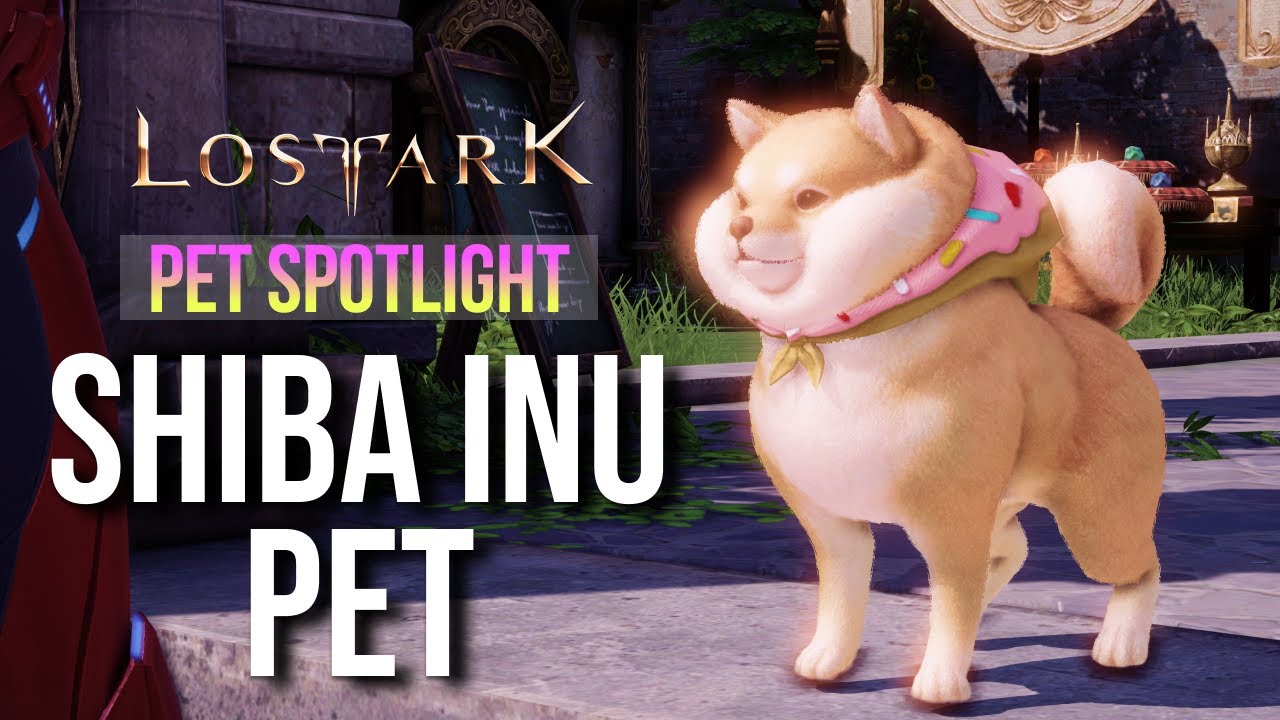 NEW Shiba Inu Pet Showcase - Lost Ark (4K gameplay)
