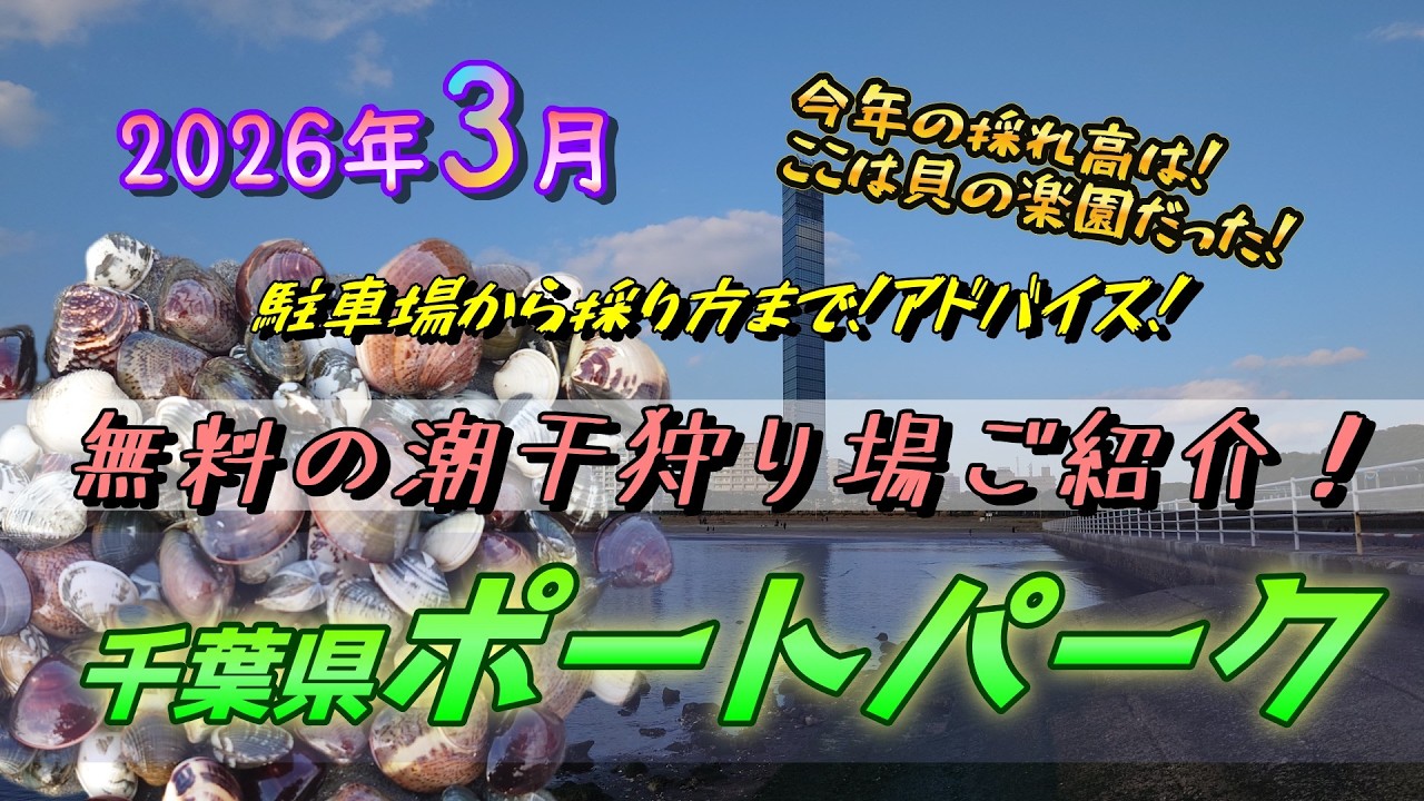 【2026】千葉ポートパークにて無料潮干狩りをご紹介します！