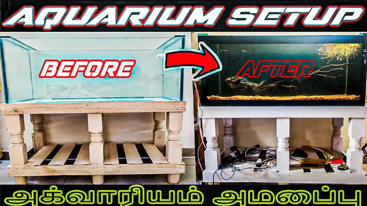 How to set a fishtank in tamil   new fishtank from kolathur wholesale aquarium fish market in #தமிழ்