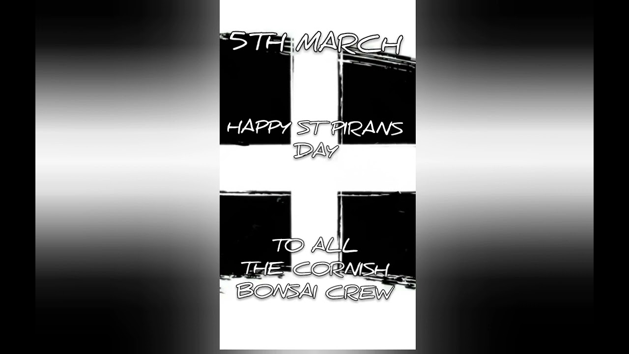 Happy st pirans day everyone @BonsaiCornwall @gaiabonsai @Dark Secret Official