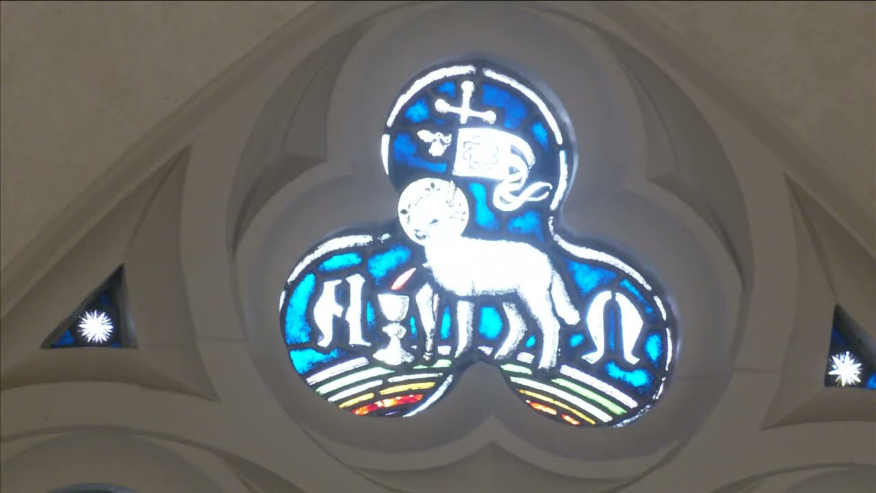 Sunday Mass - July 21, 2024