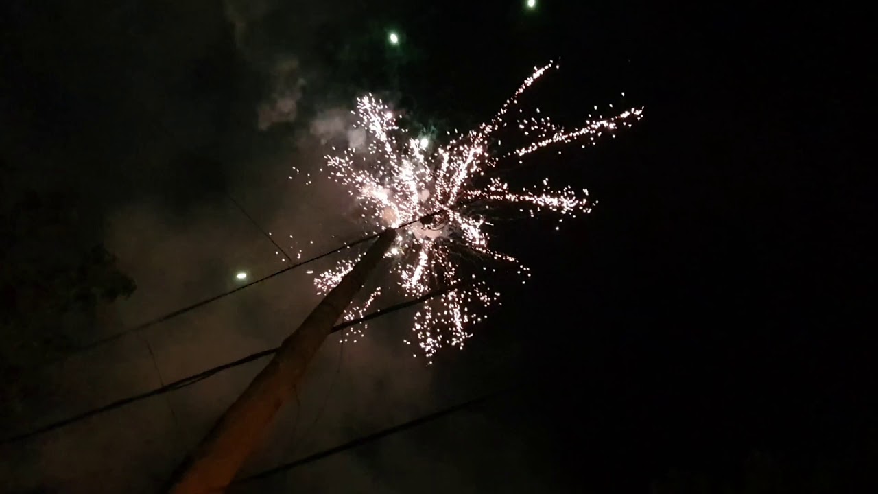 Show Luxury Celebration POW 5360