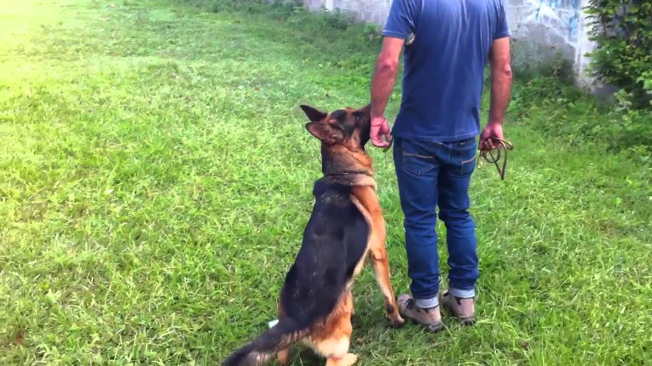Practica de la rutina de BH