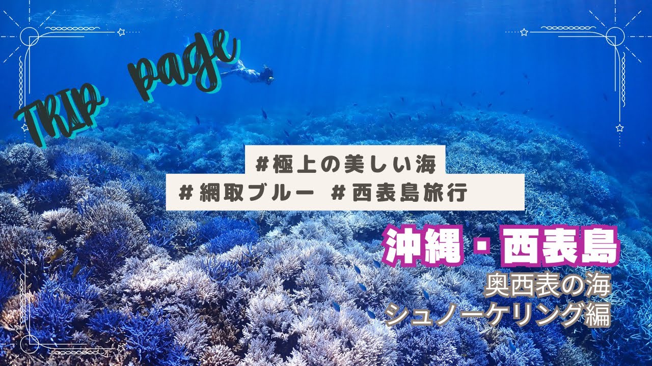【世界一美しい海】西表島で絶対おすすめなツアー｜超絶キレイな海でのシュノーケリングがヤバかった｜マリウド海人ツアー