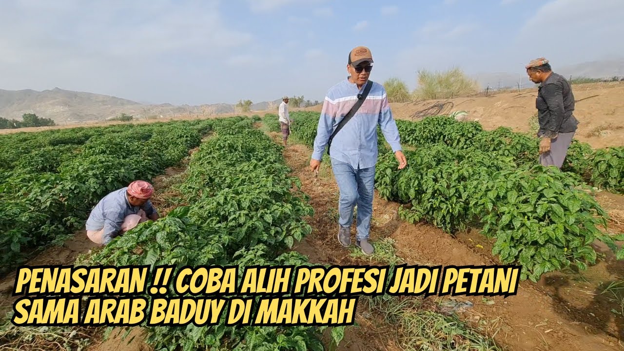 COBA COBA !! ALIH PROFESI JADI PETANI DI PINGGIRAN KOTA MAKKAH